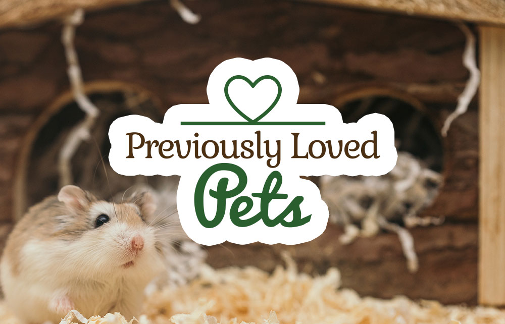 Previously Loved Pets - Animal Surrender Program
